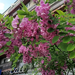  Apartament Pulawska 53
